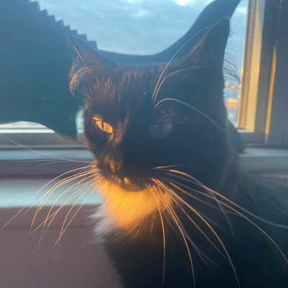 Meet your Posher, 2Soon - Picture 2 of 2